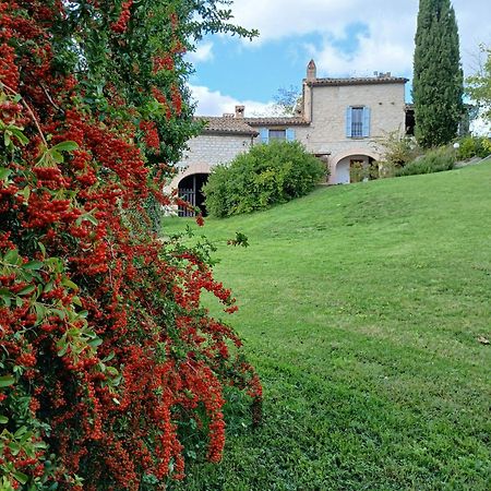 Agriturismo Del Frontino - Lo Studio Acqualagna Buitenkant foto