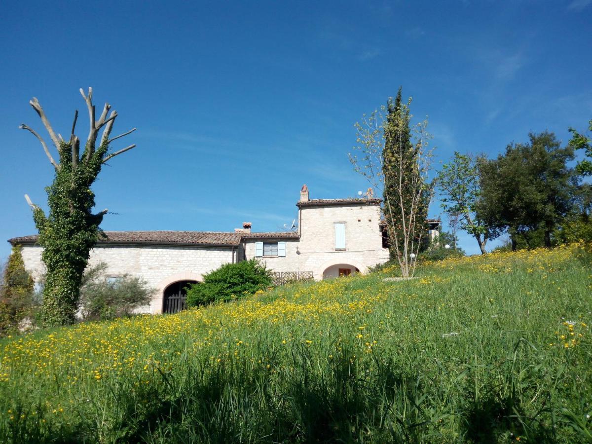 Agriturismo Del Frontino - Lo Studio Acqualagna Buitenkant foto