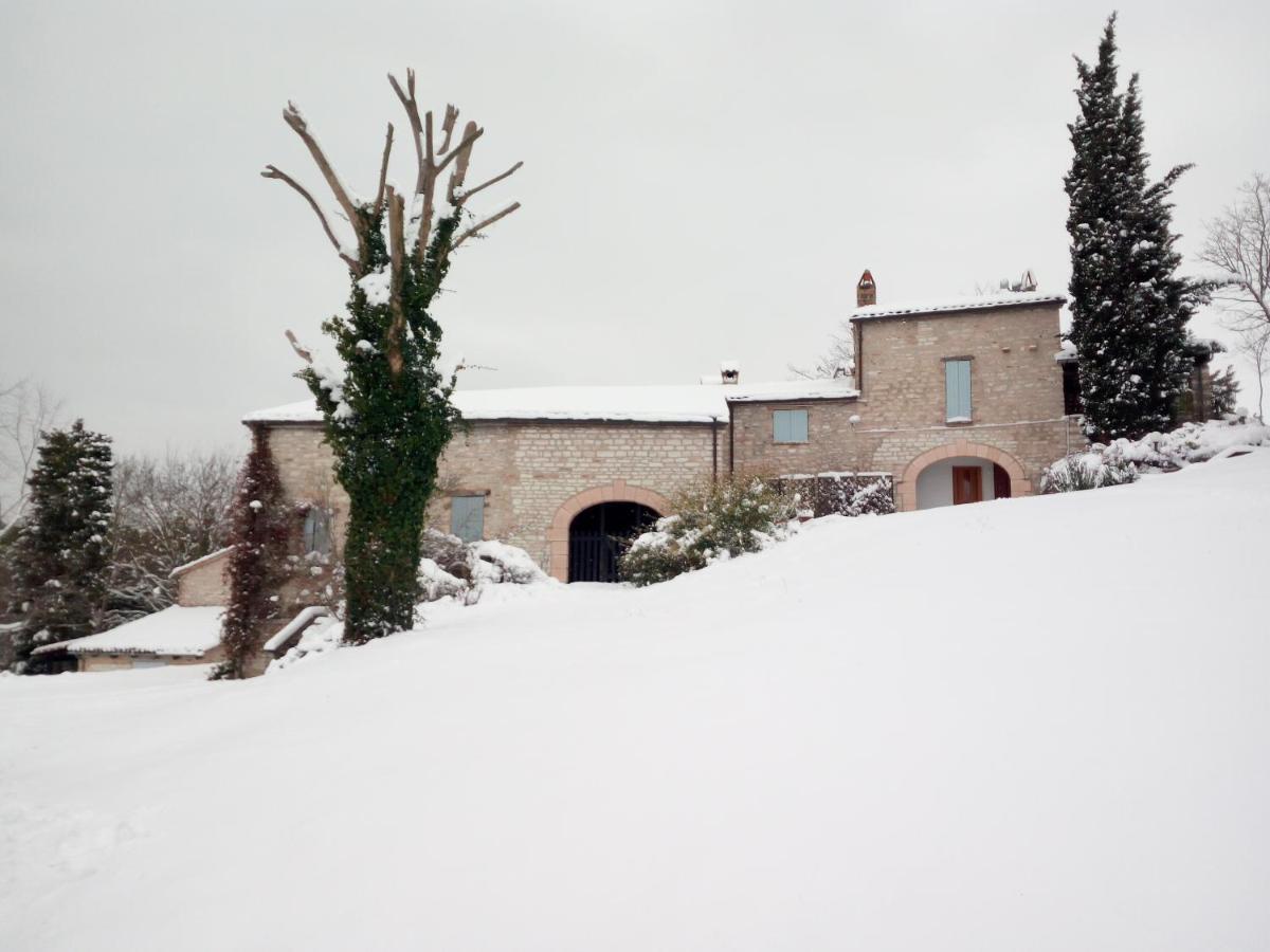 Agriturismo Del Frontino - Lo Studio Acqualagna Buitenkant foto