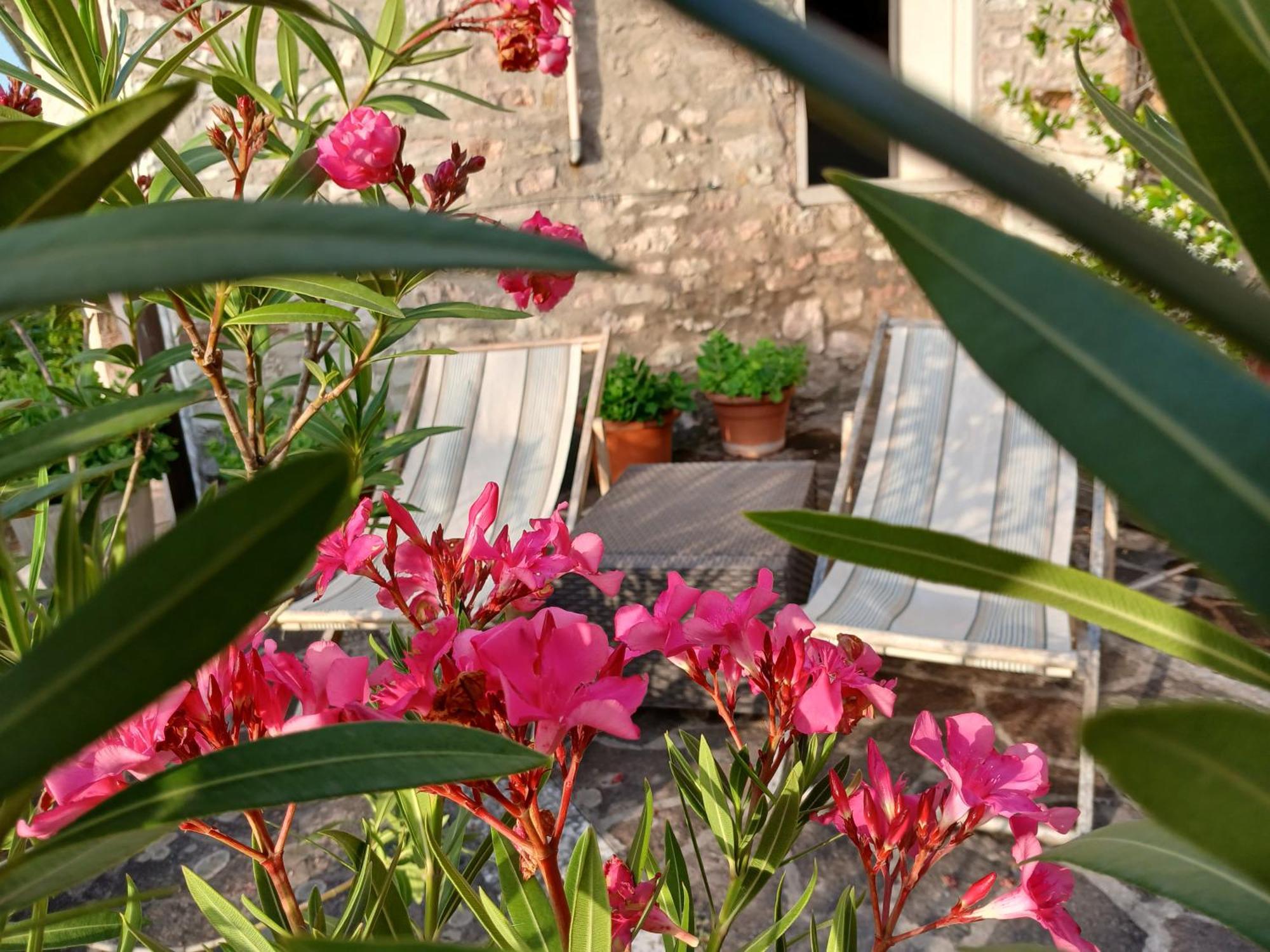 Agriturismo Del Frontino - Lo Studio Acqualagna Buitenkant foto